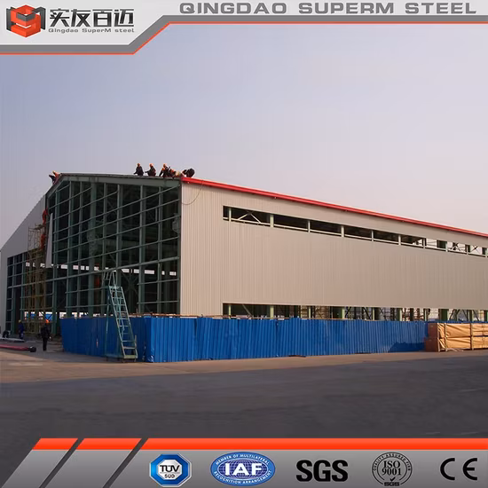 Factory Supply Prefab Steel Structure Warehouse