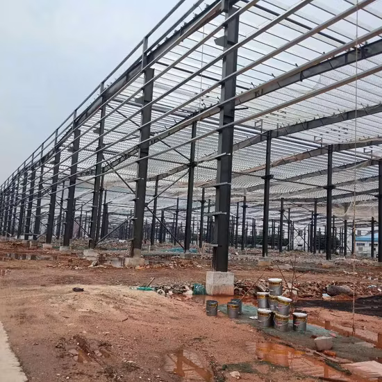 Factory Buildings for Sale/Steel Structure Prefabricated Warehouse, Workshop Q345b/Q235B