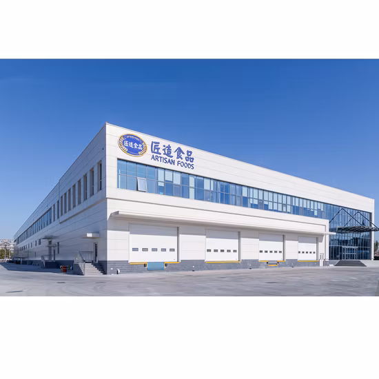 Prefabricated Galvanized/Painted Light Steel Structure Shed Garage